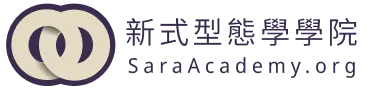 莎拉 Sara｜新式型態學 學院