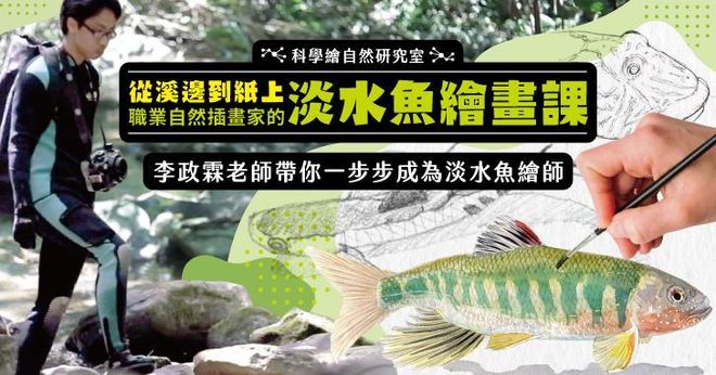 從溪邊到紙上──職業自然插畫家的淡水魚繪畫課