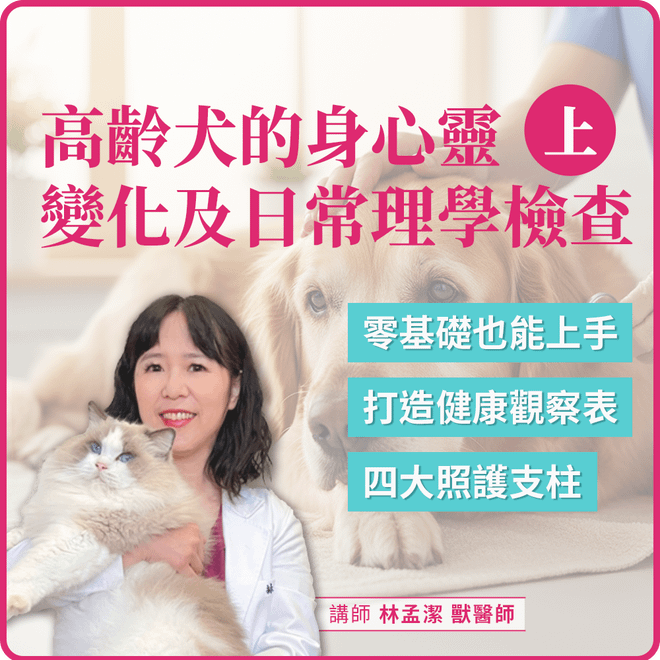 11/26(三) 20:00 高齡犬的身心靈變化及日常理學檢查 (上)
