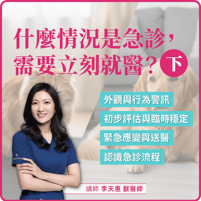 12/20(六) 10:00 什麼情況是急診,需要立刻就醫?(下)