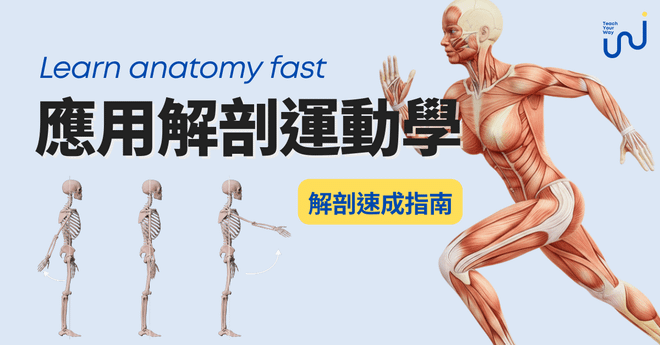 【直播課】應用解剖運動學－快速看懂動作的關鍵