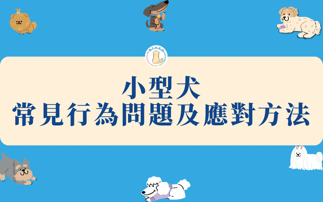 小型犬常見行為問題及應對方法