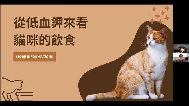 吉兒 X 金醫師|不懂營養學,也能安心選貓食
