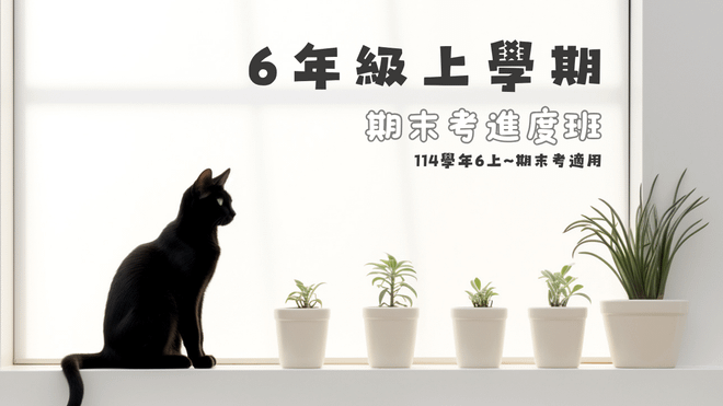 114年(6上)第11~20周(期末考)進度班-國小數學