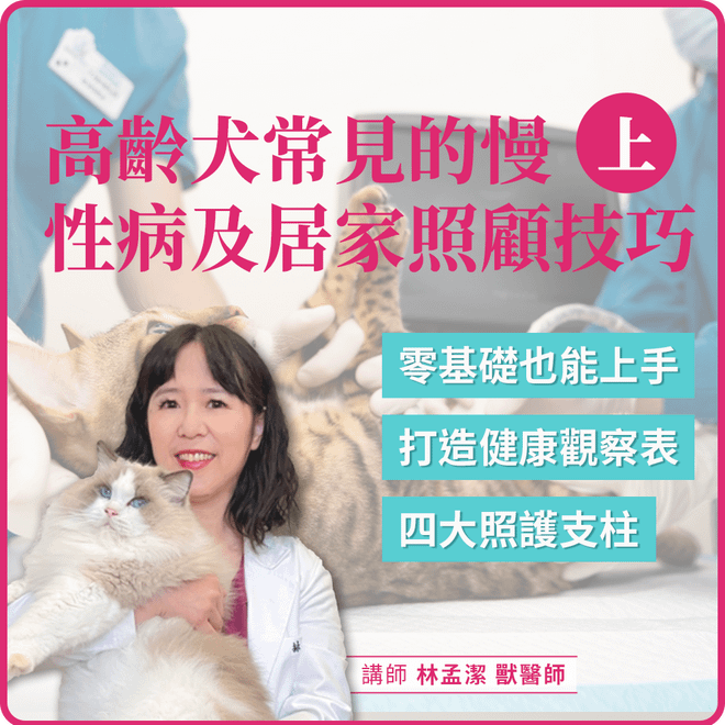 1/16(五) 19:30 高齡犬常見的慢性病及居家照顧技巧 (上)