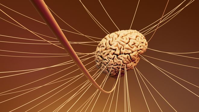 Emotional Intelligence Skills Training certification Diploma Course