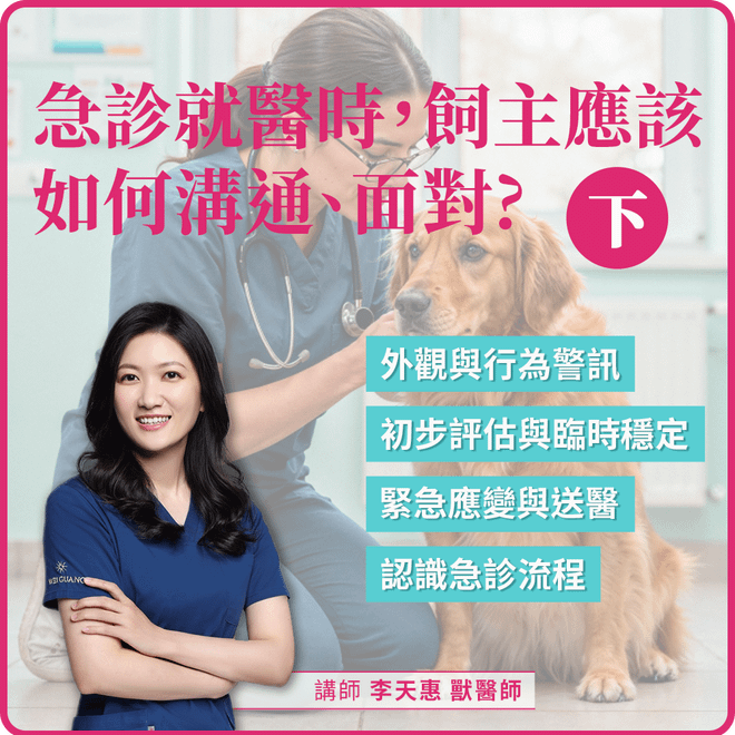 2/21(六) 10:00 急診就醫時，飼主應該如何溝通、面對（下）
