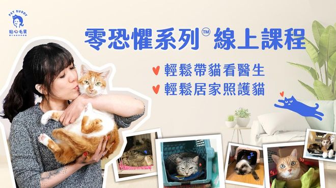 貼心毛寶|零恐懼親訓™