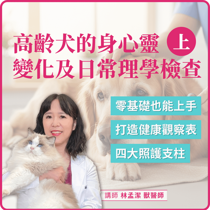 11/26(三) 20:00 高齡犬的身心靈變化及日常理學檢查 (上)