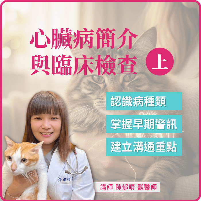11/28(五) 19:00 毛孩心臟病簡介與臨床檢查(上)