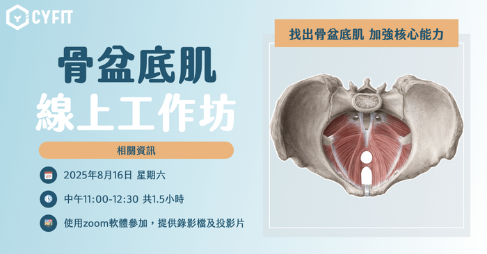 （已結束）骨盆底肌線上工作坊