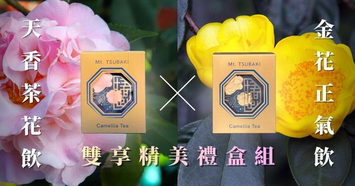 天香茶花飲．金花正氣飲．精美禮盒