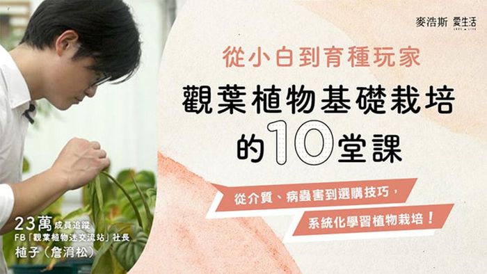 從小白到育種玩家：觀葉植物基礎栽培的10堂課