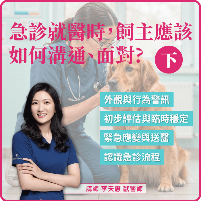 2/21(六) 10:00 急診就醫時，飼主應該如何溝通、面對（下）