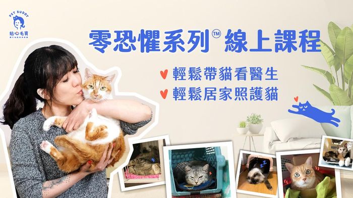 貼心毛寶｜零恐懼親訓™