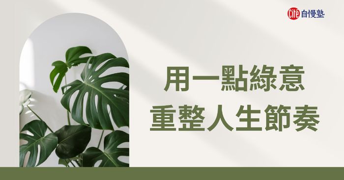 用綠意，重新整理日常