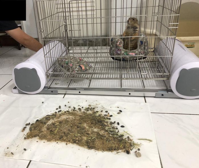 差點臭暈😵 我的鼻子壞掉了