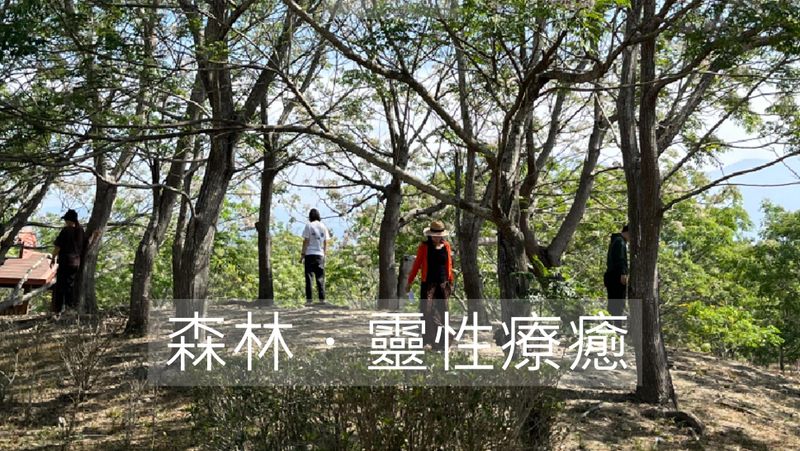 1/26 森林・靈性療癒