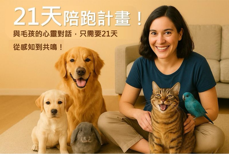 🌟星亞寵物溝通-21天陪跑計畫